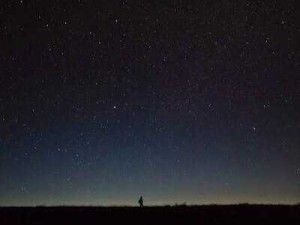 寂寞影院午夜公交车：一场孤独的旅程