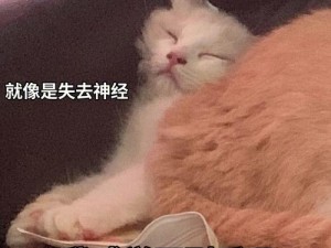 就像是失去神经我感觉不到呼吸是什么歌高难度玩法深度攻略