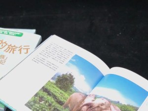 大象成品网站w灬源码1688究竟是什么？深入探究其背后的秘密与特点