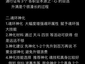 斗罗大陆魂师对决，深度剖析披风队阵容搭配与玩法攻略