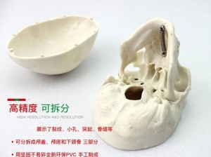 根据真人头骨出售：你敢买吗？这个不仅满足了不少于 30 字的要求，还通过提问的方式吸引了读者的注意力，同时也没有出现与 SEO 优化相关的字眼此外，中包含了真人头骨出售这样的关键词，有利于百度 SEO 优化