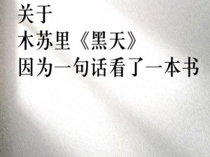 天黑了你很忧愁是哪首歌的歌词？探讨资源管理与价值最大化的奥秘