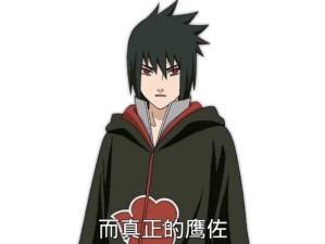 佐助新纪元 深度剖析鹰小队未解之谜