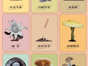 蘑菇旧版本的这些功能你知道吗？