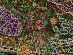 377P人体粉嫩胞高清视频：细胞结构与功能的视觉盛宴