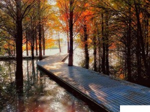 岁月画卷轻展 梦醒时分寻觅那曲悠扬之歌