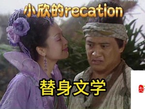 资源管理中的身份认知与替代隐喻策略探究