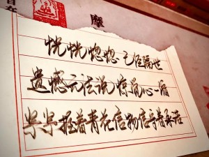 抖音热门歌曲揭秘，青花信物背后的资源管理深度解析