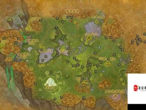 魔兽世界怀旧服，探寻黄金参富集地，实现资源高效管理与价值最大化