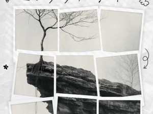 那伤过的心那爱过的人，资源管理的情感智慧与价值最大化策略