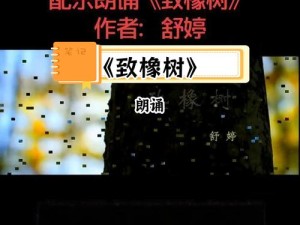 抖音热曲灵感下的资源管理新视角，橡树绿叶与白竹篱笆的高效应用