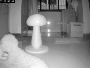 富姐按摩体验失控：男技师意外引发高潮，关门后发生不可描述的一幕