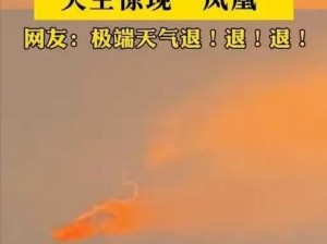 凤凰直播：精彩内容抢先看，你想知道凤凰直播有哪些亮点和特色吗？