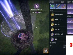 地下城堡2女刺客转职攻略，资源管理高效利用实现价值最大化