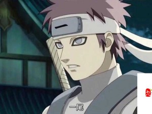 火影传奇，九尾人柱力的英雄征程