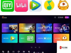 免费进入 B 站哔哩哔哩的好处：畅享多元娱乐资源提升生活乐趣
