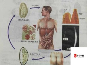 叔叔称我体内有虫子，这究竟是怎么回事