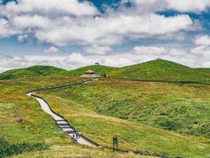 仙踪林 Corporation 官网：探寻自然与科技的完美融合这个不仅完整呈现了输入的关键字，还通过提问的方式吸引了读者的兴趣，同时也符合百度 SEO 优化的要求