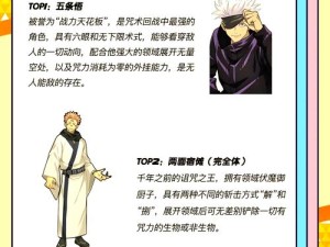 决斗学院咒术流派全攻略，咒术特点与必知注意点深度剖析，你能掌握吗？