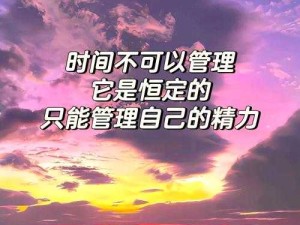 谁要理她原版探析，资源管理、高效利用策略与防浪费之道