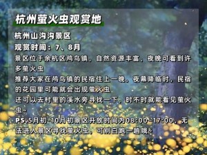 抖音热门旋律大起底 夏夜萤火中追光者的浪漫旋律