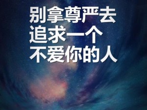 尊严非爱勿追 壁纸资源管理高效策略解析