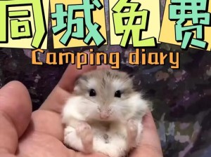 全民养金鼠终极攻略！3天爆肝解锁隐藏小金鼠，手慢无！