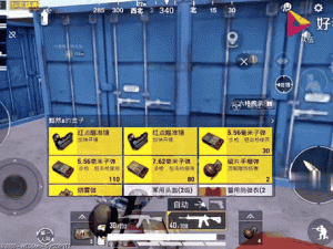 和平精英两栖车上线时间及其资源管理高效利用策略