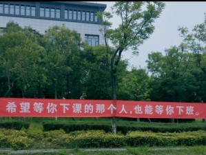 没人会等你壁纸游戏攻略，从新手到精通的全面指南