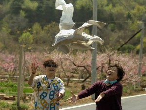 抖音热门BGM探秘，天上飞的是鸟儿？还是云朵背后隐藏的游戏魅力？