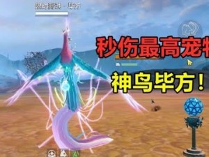 宠物捕捉大揭秘！妄想山海宠物捕捉攻略全解析