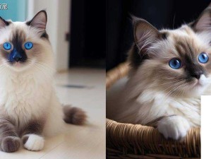 邪恶布偶终极技能揭秘，深度剖析资源管理与战斗策略