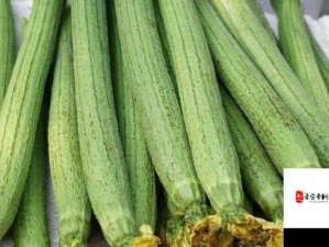 国产精品草莓香蕉榴莲丝瓜十八岁可以吃吗：探讨其营养价值与食用方式