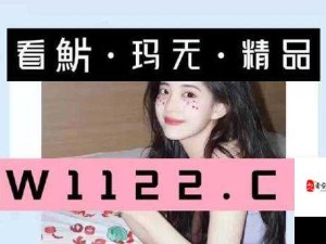 乱码 A 区 D 区 C 区：神秘的网络世界探索之旅