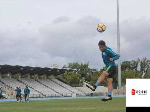 亮剑等级飞跃攻略，揭秘高效升级全新技巧与策略