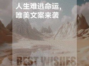 漂亮蠢货因自身缺陷注定难逃被炒烂的命运