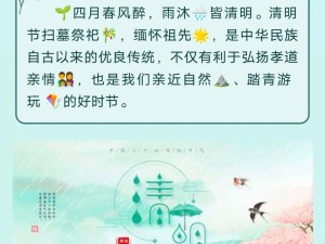 清明雨润情思深 探寻传统节日文化韵味
