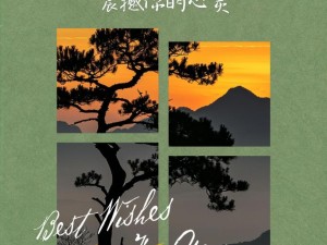 探寻人间理想之境 触动心灵的绝美瞬间集锦