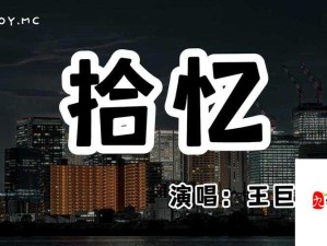 探寻怎么会忘了情歌词奥秘与价值，丢失你的情感之谜