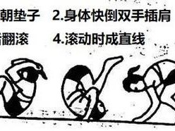 活下去游戏中如何击败强大的翻车虫？翻车虫打法全攻略揭秘