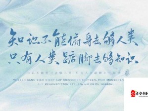 人间理想与妄想壁纸，探索资源管理的极致艺术