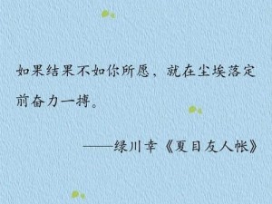 真正的离开悄无声息，图片资源管理的重要性与高效应用策略