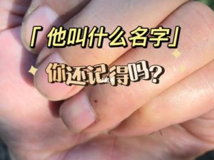 上课偷睡觉手机突然响起，这首歌到底是什么？新手开荒攻略揭秘！