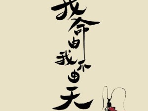 我面由我不由天，探索资源管理的艺术与智慧之道