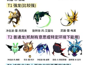 战歌竞技场全攻略，深度剖析龙骑士图鉴奥秘