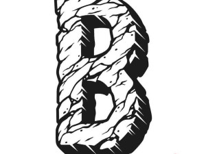 b 有多少种样式图形图片以及它们的具体分类和特点介绍