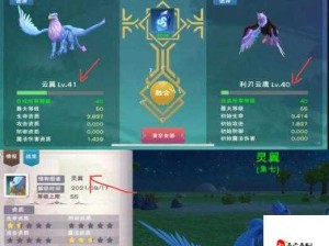 创造魔法之旅，精准探索与管理普通云鹰坐标技巧