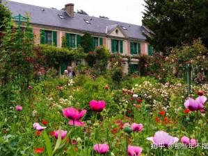 探索西方 37 大人文艺术之旅：领略璀璨文明的深度之旅