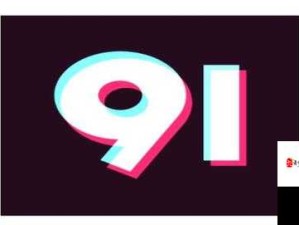 九幺 9.1 旧版安装方法揭秘-用户反馈及深度剖析