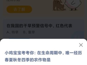 八九十岁被称何年 探讨游戏资源管理的关键性与策略